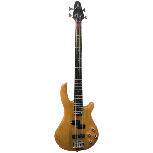 Bosinė gitara JB10 N